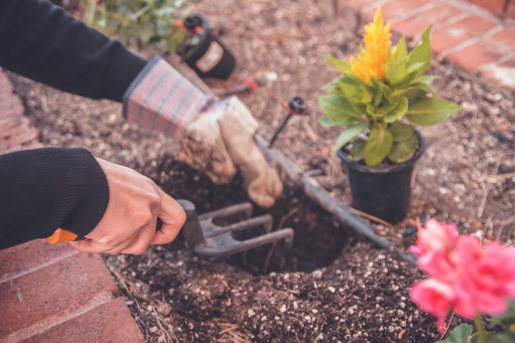 gardening-benefits-1