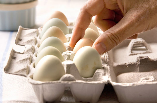 egg-intake-2