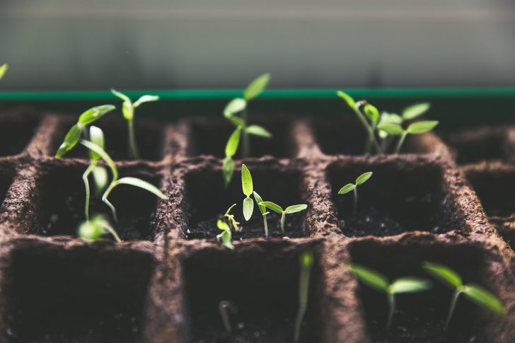 gardening-career-1