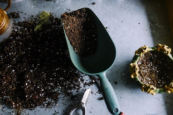 gardening-career-3