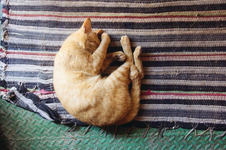 napping-guide-1