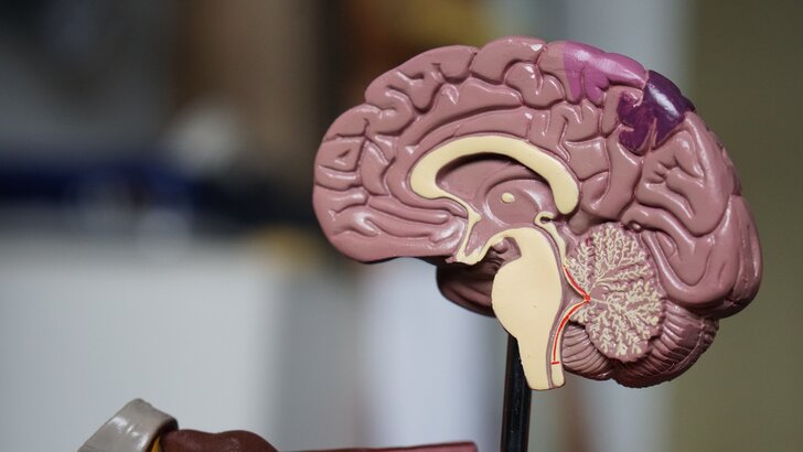 memory-loss-2